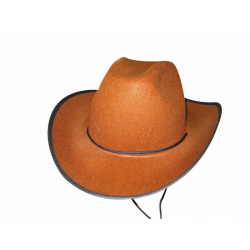 CHAPEAU - Cow boy marron...