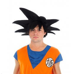 PERRUQUE - Dragon ball Z /...