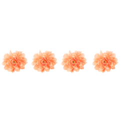 FLEUR/PIVOINE - Corail x 4...