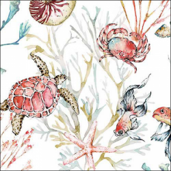 SERVIETTE - Tortue et...