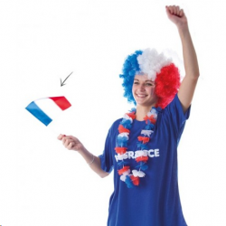 DRAPEAU - France/Bleu blanc...