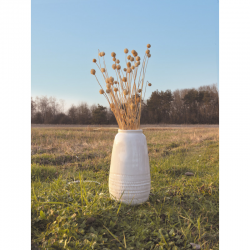 FLEURS SECHEES - Bouquet de...