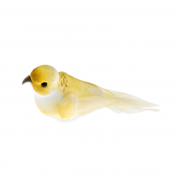 OISEAU - Dégradé de jaune x...