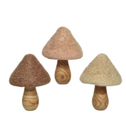 CHAMPIGNON - Modèle assorti...