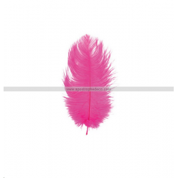 PLUME D'AUTRUCHE - Fushia x...