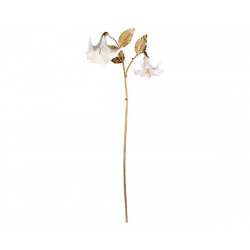 BRANCHE/PIQUET - Fleur de...