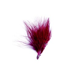 PLUME - Bordeaux x 20 (8/10cm)